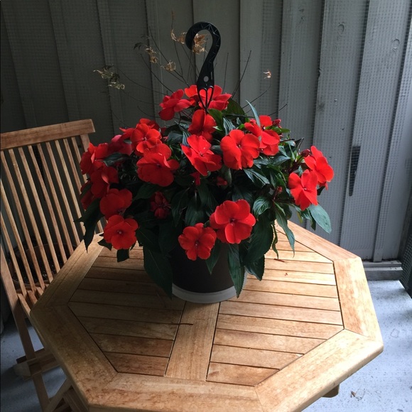 Meet your Posher, Tracy - Picture 1 of 1